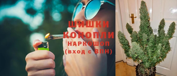шишки Губаха
