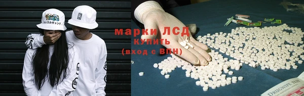 шишки Губаха
