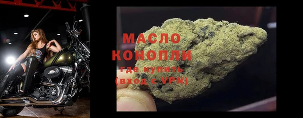 шишки Губаха