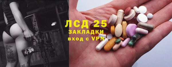 мдпв Грязовец