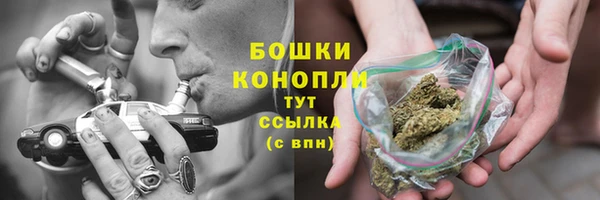 ГАЛЛЮЦИНОГЕННЫЕ ГРИБЫ Нязепетровск