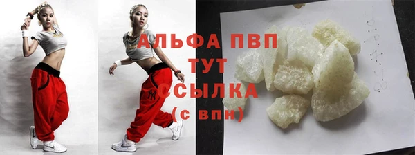 шишки Губаха