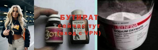 шишки Губаха