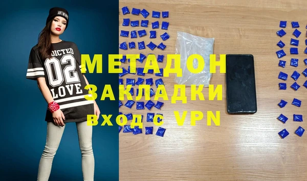 шишки Губаха