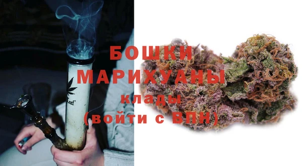 шишки Губаха