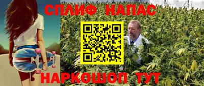 спиды Балахна