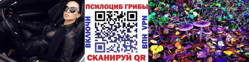 Галлюциногенные грибы мицелий  Усть-Лабинск 