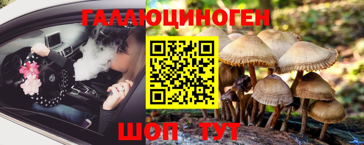 закладки  Усть-Лабинск  Галлюциногенные грибы Psilocybe  Галлюциногенные грибы MAGIC MUSHROOMS 