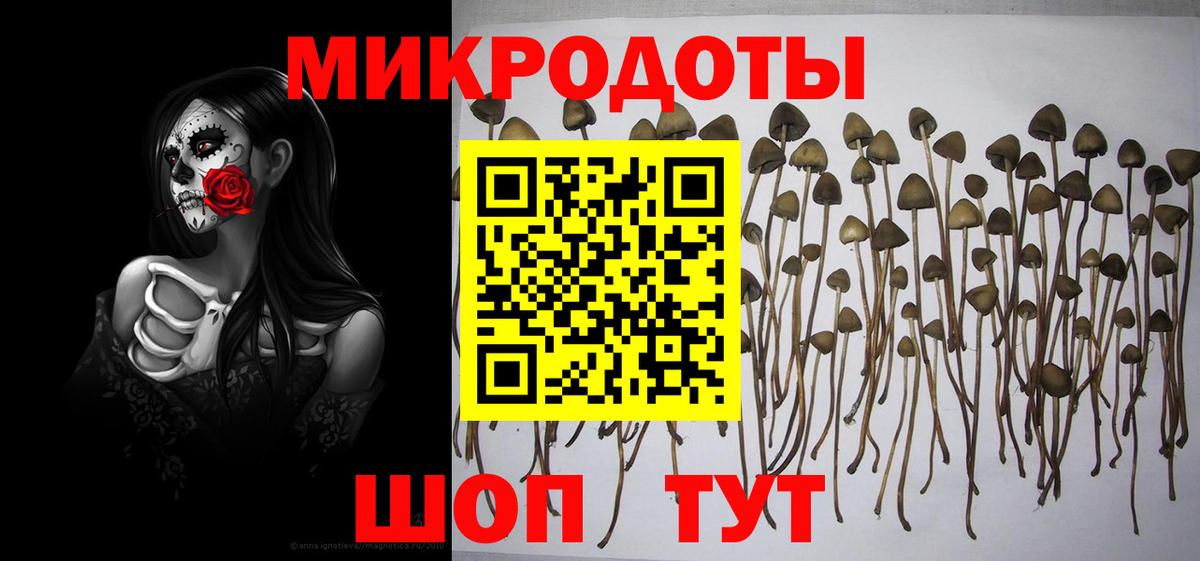 Галлюциногенные грибы MAGIC MUSHROOMS Усть-Лабинск
